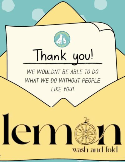 Thank You, Lemon Laundry Af!