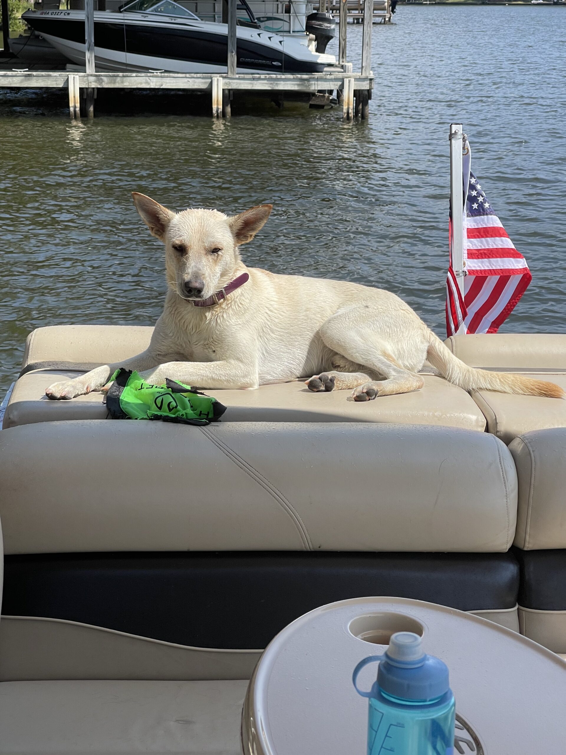 Bolt at the lake