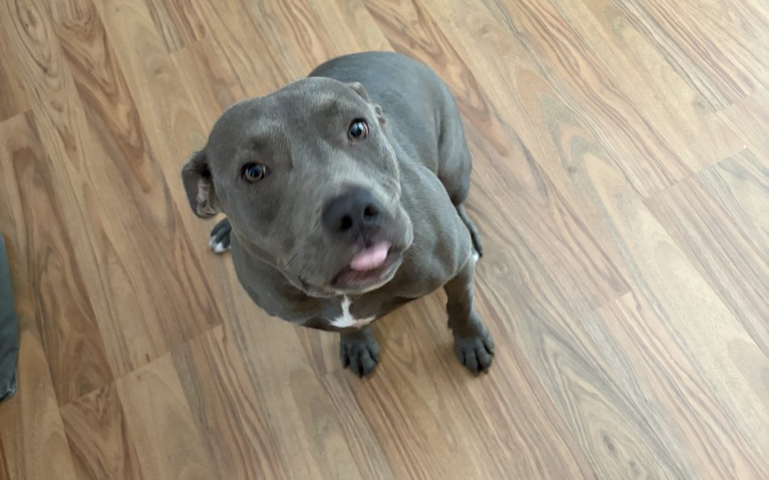 Luna