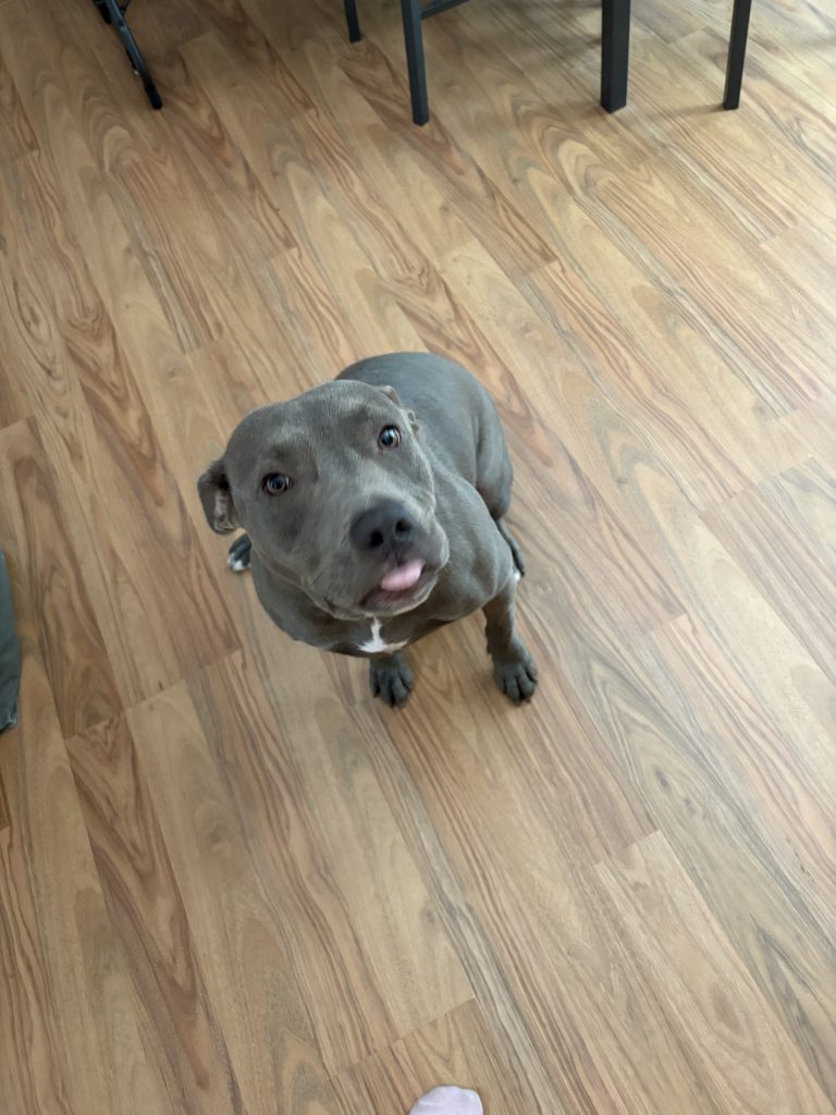 Luna