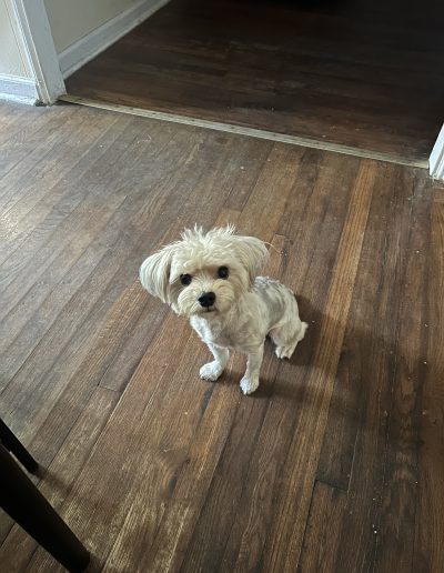 Nikko