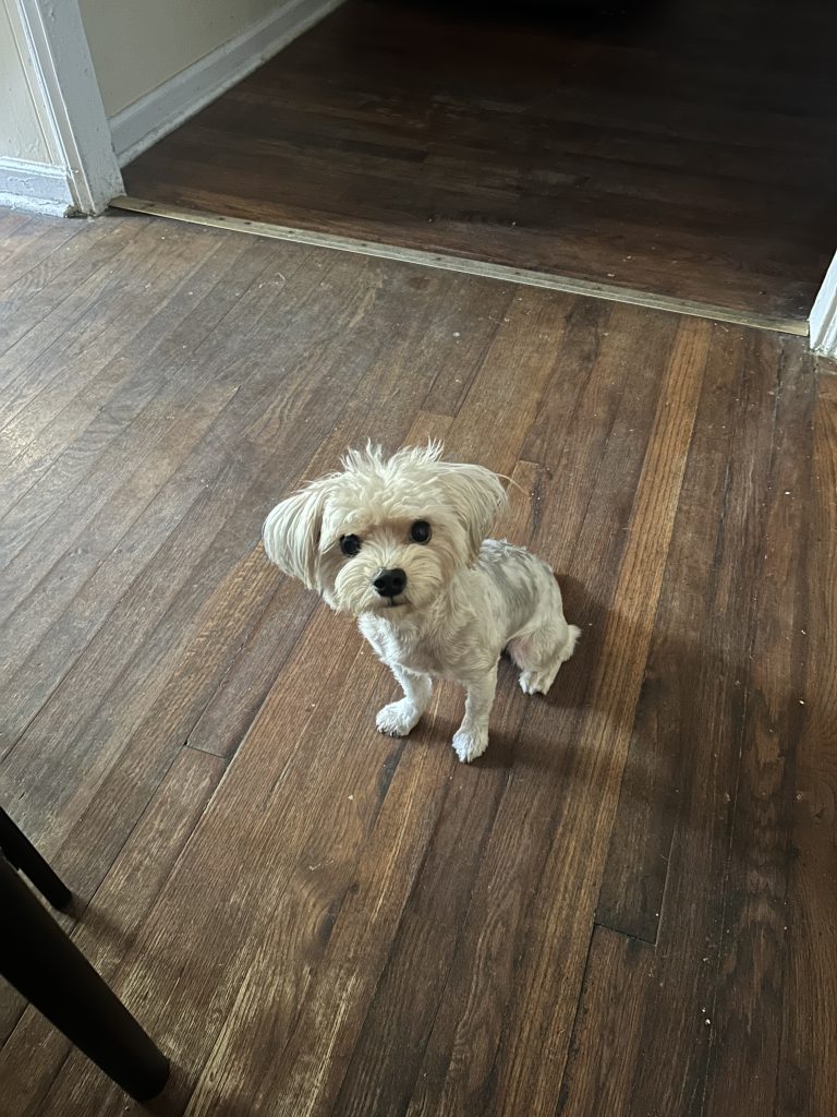 Nikko