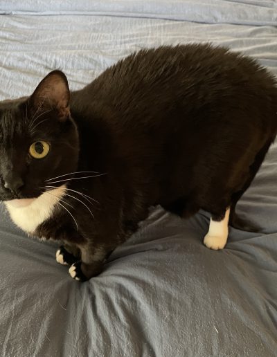 chunk